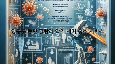 양구군 동면 팔랑리 악취 제거 청소 서비스