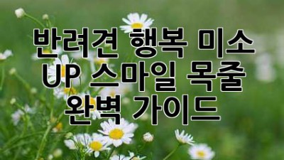 반려견 행복 미소 UP! 스마일 목줄 완벽 가이드